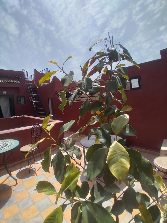 Riad 9 Derb El Bousnne Marakeş Dış mekan fotoğraf