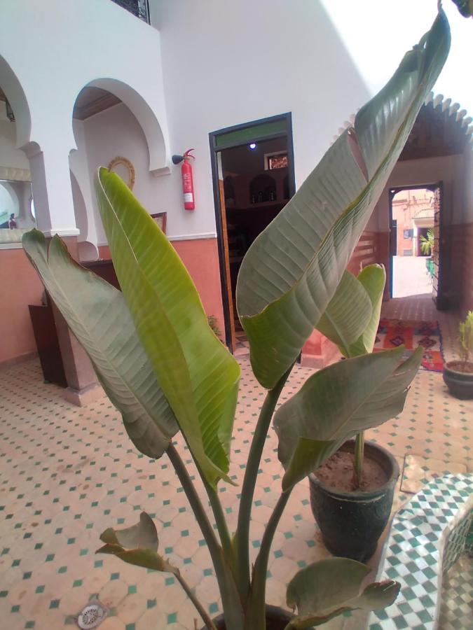 Riad 9 Derb El Bousnne Marakeş Dış mekan fotoğraf